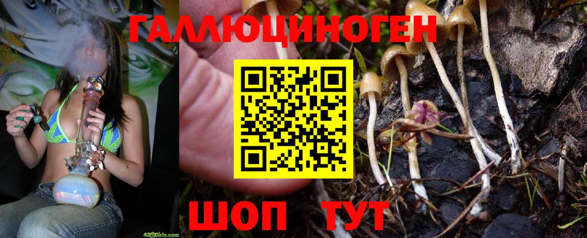 Галлюциногенные грибы мухоморы Протвино