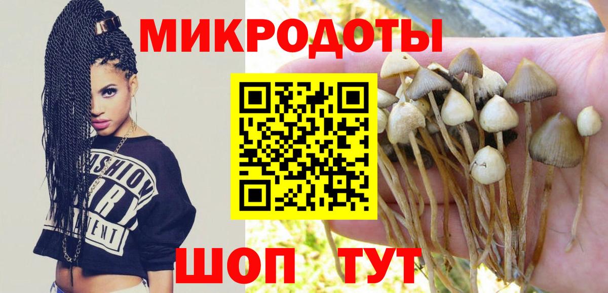 Псилоцибиновые грибы ЛСД  Вход с VPN  Протвино  Галлюциногенные грибы GOLDEN TEACHER 