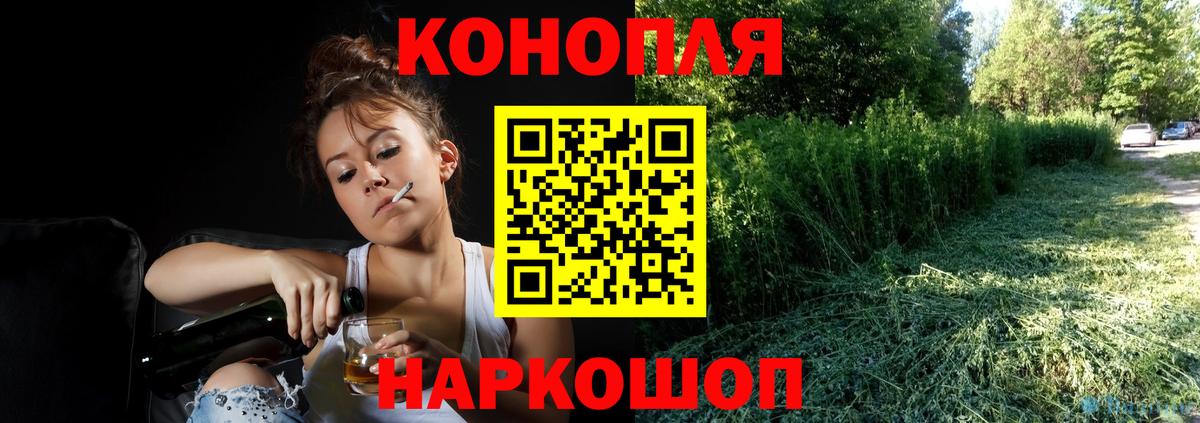 Каннабис конопля  Вход с VPN  Шишки марихуана планчик  Протвино  Канабис сатива 